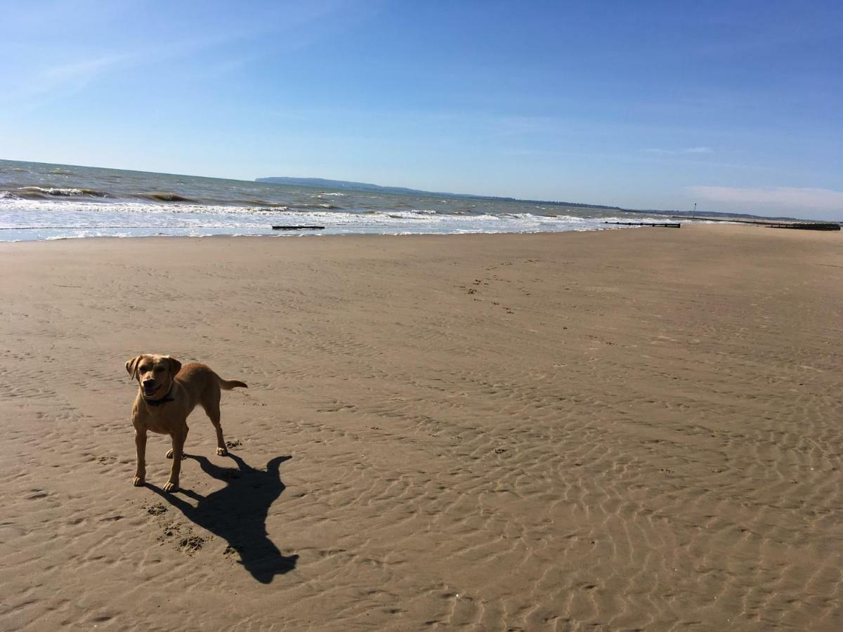 7 Coastguard Cottages, Jury'S Gap, Camber Sands Εξωτερικό φωτογραφία
